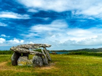 Co. Cork